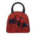 thumbnail image 3 of Spider-Man Large Handheld Insulated Lunch Bag, 3 of 7