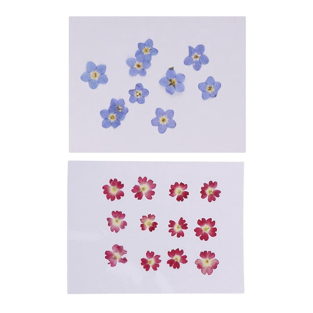 22 Piezas Mini Flores Verbena Presionadas Flores Secas Para La Fabricación De Joyas DIY Collar Artesanal Colgantes