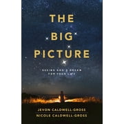 The Big Picture (Paperback)