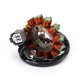 thumbnail image 3 of Estator Magneto apto para Kawasaki KX250F KX450F 2009-2020 21003-0147 21003-0102, 3 of 11
