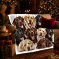 thumbnail image 3 of Chocolate Black Yellow Lab Portrait Group Art autumn celebration, Playful Pet Portrait Pattern, Warm Flannel Blanket for Living Room and Bedroom, Dog Moms person's Day Gift, Pet Lover Home Decor, 3 of 9
