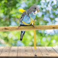 thumbnail image 3 of Arnés ajustable para pájaros con correa de 80 pulgadas, kit de vuelo al aire libre, cuerda de entrenamiento para pájaros, loros, cacatúas, 3 of 4