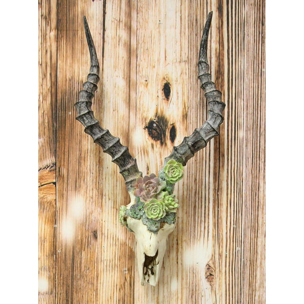 Ebros Western Vintage Aged Faux Taxidermy Wildlife Horned Game Animal Skull Head With Painted Flowering Succulents Wall Mount Decor 3d Replica Skulls Hanging Plaque Sculpture Greater Kudu Antelope Com - Faux Animal Skull Wall Decor