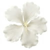 Gum Paste - White Hibiscus 4" (6 pieces)