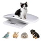 thumbnail image 1 of Báscula digital para mascotas, báscula electrónica para alimentos de cocina con pantalla LCD, 10 kg/22 lb. Báscula digital para mascotas, báscula electrónica para alimentos de cocina con pantalla LCD., 1 of 5