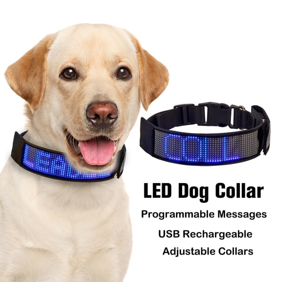 Leadleds Programmable LED Dog Collar, Polyester, Adult Dog, USB Rechargeable, Adjustable, Safety Glow, Blue, 1 Piece