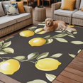 thumbnail image 2 of Fsddascl Yellow Summer Lemon Outdoor Rug for Patio/Deck/Porch, Non-Slip Large Area Rug 5 x 8 Ft, Farmhouse Botanical Grey Indoor Outdoor Rugs Washable Area Rugs, Reversible Camping Rug Carpet Runner, 2 of 5
