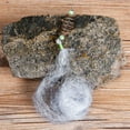 thumbnail image 4 of Hook Floating Bottom Fishing Nets Bait Spring Bomb Outdoor Cage Sun Fishing Net Gear Fish, 4 of 8
