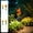 A2355 Fufafayo under $5, variant on Fufafayo under $5 Solar Rose Garden Light, Solar Rose Lamp, Outdoor Waterproof Ground Stake Light, Garden Courtyard Decoration for Pathway, Automatic LED Lights for Lawn Patio