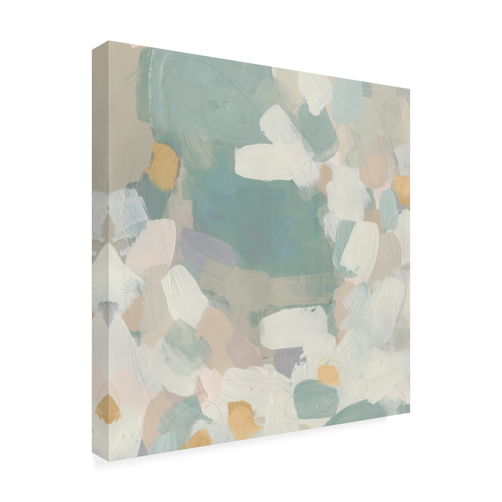 Trademark Fine Art 'Sage Currents II' Canvas Art by June Erica Vess