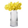 thumbnail image 4 of Glass Vase Flower Display Table plant vase Decor Hydroponic Flower Vases Clear 25cm, 4 of 9