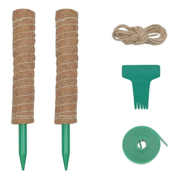 de soporte de barra de para pntas Monstera para pntas Juego de 40 cm. Zulema postes de musgo