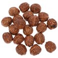 thumbnail image 1 of 20 piezas de nueces artificiales realistas para decorar, modelos de frutos secos falsos, 1 of 7