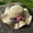 01_Yellow, variant on Sun Hats for Women Summer Beach Womens Hat Flower Outdoor Large Sunscreen Foldable Floppy Straw Hat