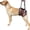 Orange, variant on Amztom Dog Lift Harness, Adjustable Rear Support Sling for Mobility Assistance, Post-Surgery Recovery Aid with Handle & D-Ring for Medium to Large Dogs,Orange,L