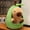 Green, variant on 12" Capybara Plushies Toy, Cuddly & Soft Huggable Capybara Stuffed Animal Plush Pillows, Birthday Christmas Graduation Back to School Gift for Teens & Women