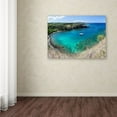 thumbnail image 3 of "Honolua Bay" Canvas Art by Pierre Leclerc, 3 of 3
