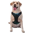 thumbnail image 1 of Night Sky Stars Dog Harness, Pet Dog Out to Prevent Break Free Leash, Adjustable, Easy to Wear, Small, 1 of 9