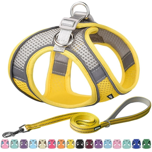 Set de arnés y correa para perros Aiitle Easy Walk para perros medianos