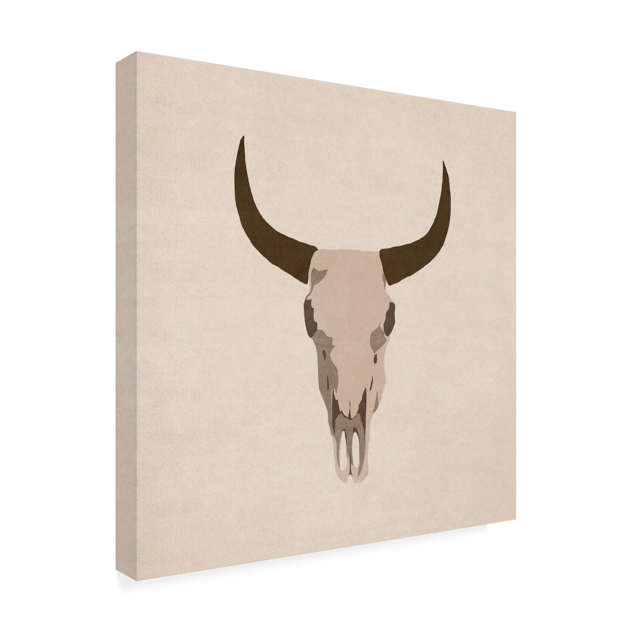 Trademark Fine Art Emel Tunaboylu  Skull Canvas Wall Art