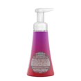 thumbnail image 2 of Méthode Moussage Nettoyant Dahlia et Delight, 2 of 2