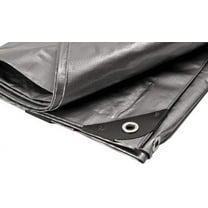 National Standard Silver 10 ft x 10 ft, Polyethylene Tarp