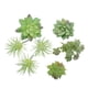 thumbnail image 5 of Simulación de traje carnoso, simulación de cabeza de flor, simulación de ramo, simulación de planta, decoraciones para el hogar, 5 of 5