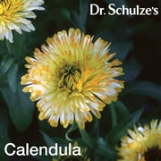 Dr. Schulzes SuperFood 100, Cellular & Energy Support, 90 Count (30 Servings)