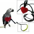 thumbnail image 1 of Bird Harness Leash Parrot Flying Leash Straps Wings Traction Rope for Budgerigar Parrot Training M, 1 of 7