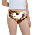 thumbnail image 6 of Pofeuu Autumn Raccoon In Forest Print Soft Cotton Underwear Girls'Briefs Soft Undies, 6 of 7