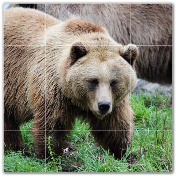 Picture-Tiles.com: Bear Ceramic Tile Wall Mural WAL500131-44S. 17"W x 17"H using (16) 4.25" x 4.25" Ceramic Tiles-Satin Finish
