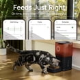 thumbnail image 6 of Automatic Cat Feeder with Camera, 6 of 10