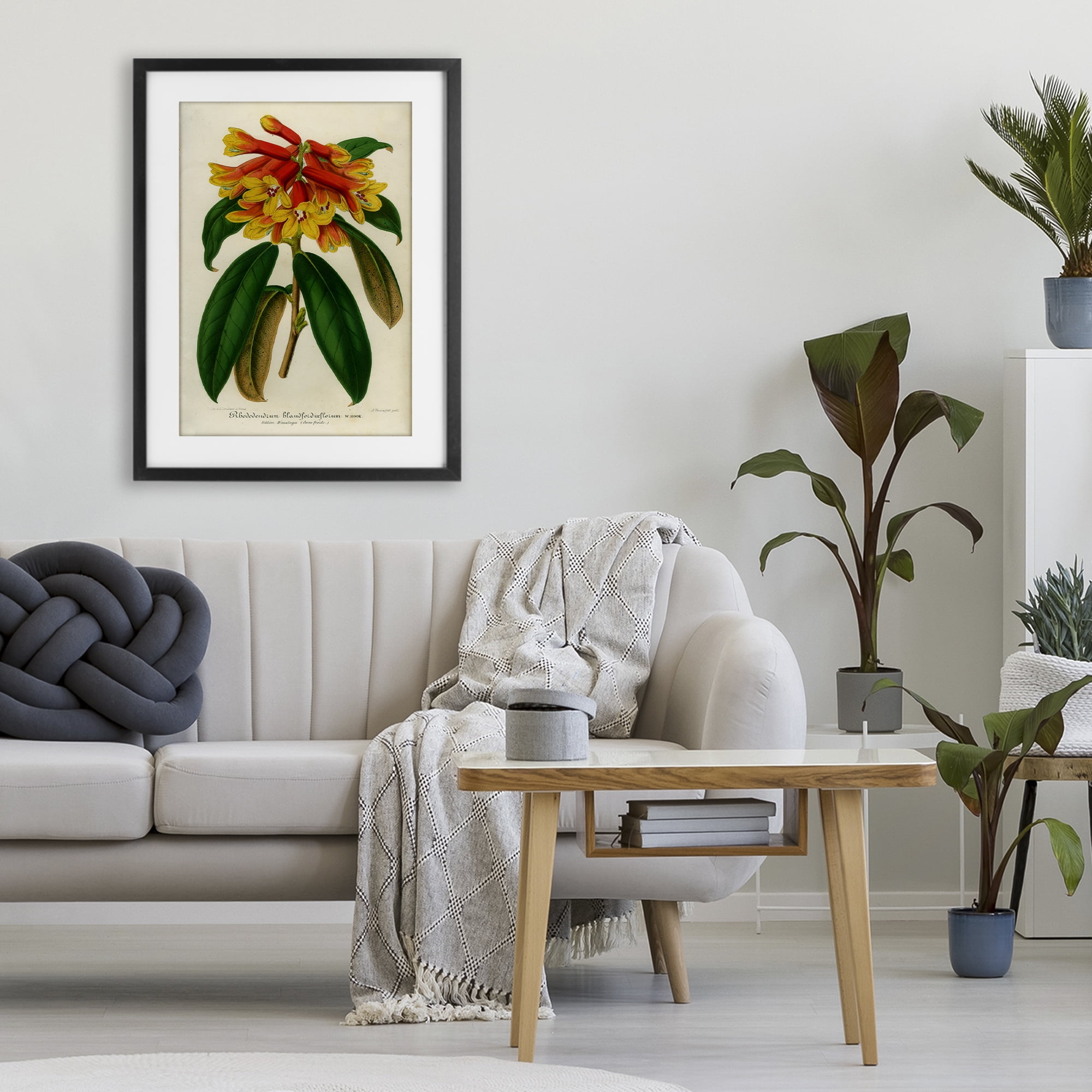 Stupell Industries Orange Yellow Rhododendron Black Framed Print Under Glass, design by Print Collection