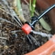 thumbnail image 5 of Kit de riego con gotero ajustable Ehuebsd manguera de 25m riego de plantas de jardín, 5 of 6