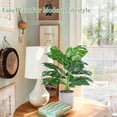 thumbnail image 6 of Scidweet 2 Packs Fake Plants, Artificial Tropical Small Faux Pot Plants Indoor Home Office Table Kitchen Bathroom Decor, 6 of 9