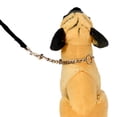 thumbnail image 3 of Double Head Pet Pulling Rope Dog Puppy Stainless Iron Chain Strap Pet Supplies, 3 of 4