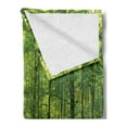 thumbnail image 2 of Woodland Soft Flannel Fleece Throw Blanket, Deciduous Forest Trees in Summertime Foliage Sun Rays Romantic Holidays Scenic Image, Cozy Plush for Indoor and Outdoor Use, 50" x 60", Green, by Ambesonne, 2 of 5