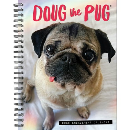 Doug the Pug 2026 Engagement Calendar, (Paperback)