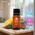 thumbnail image 3 of Mezcla de Aceites esenciales puros "Protect" 15 ml, 3 of 5