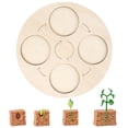 thumbnail image 2 of Plant Life Cycle Of A Growth Stage Model Educational Plant Growth Cycle Toy For School Kid Children, 2 of 4
