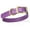 Amethyst Purple, variant on Size XL (22 to 25 inches)-Viper Biothane Waterproof Collar -  Brass Hardware