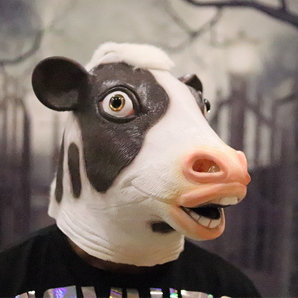 Máscara de cabeza de pez para adulto, disfraz de látex Real, divertido, burro, caballo, lobo, utilería de zoológico, cara completa, disfraz de Halloween