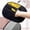 Black, variant on LKXGBMY Pets Double Sided Grooming Glove, Pet Hair Remover Gloves for Dog Cat Reusable,1pc