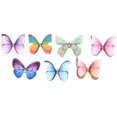 thumbnail image 3 of 250 Unids Apliques de Mariposa de Tela de Organza de Color Degradado 38mm Translúcido Chiffon Butterfly para Decoración de Fiestas, Adornos de MuñEcas, 3 of 5
