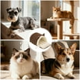 thumbnail image 2 of Winter Warm Cat Cave Bed for Indoor Cats, Enclosed Plush Pet Sleeping Pod with Non- Bottom, Machine Washable Calming Nest for Kittens and Small Dogs in Home Living Room, 2 of 5