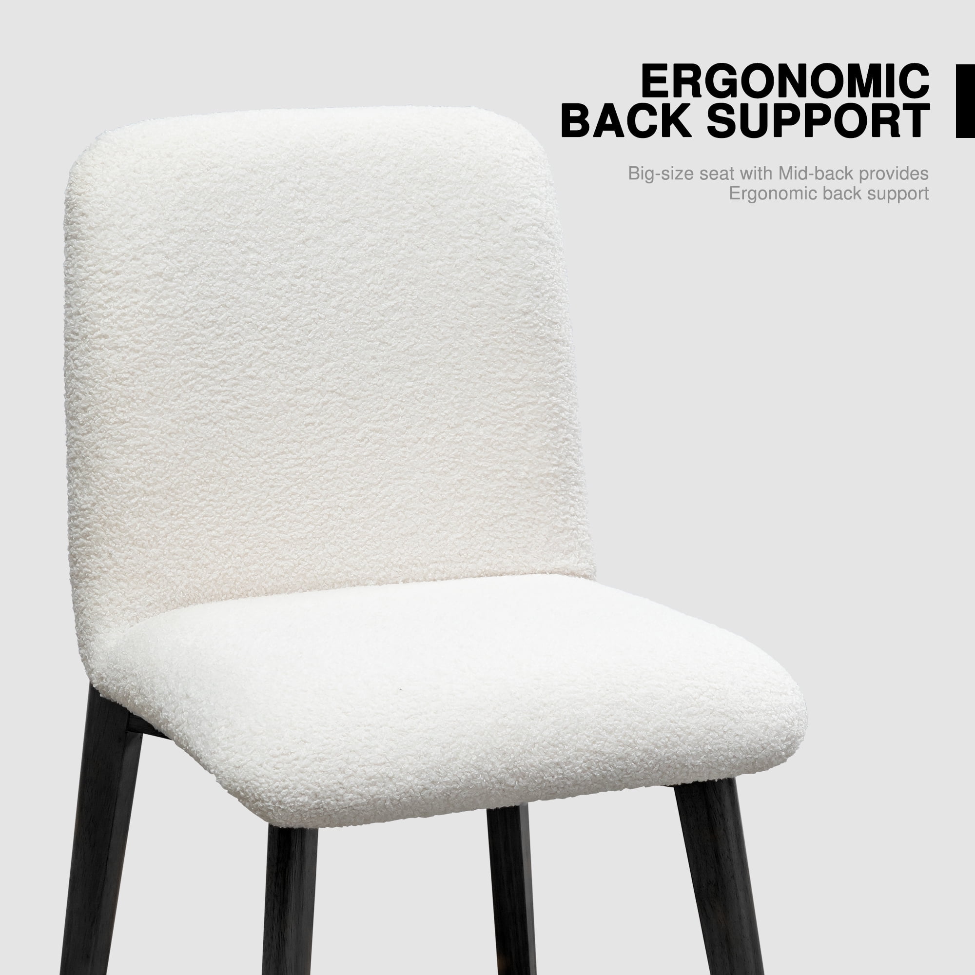 Bethea Solid Wood and Fabric Dining Chairs in Black (Set of 2)