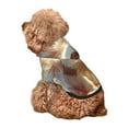 thumbnail image 5 of Fotbe Rainbow English Cocker Spaniel Print Small Dog Sweater Hoodies Pet Grey Hooded Soft Fleece Sweatshirts with Pocket Fall Winter Puppy Cat Sweaters Warm Clothes-XX-Large, 5 of 7