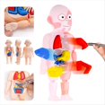 thumbnail image 4 of Modelo de Cráneo de Anatomía, Rompecabezas de Cráneo de Anatomía , Mini Modelo de Cráneo Humano Desmontable, Modelo de Órgano Humano, 4 of 5