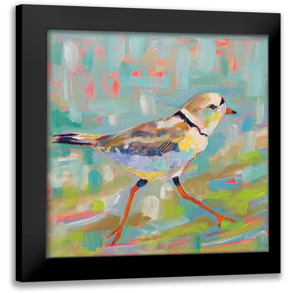 Vertentes, Jeanette 12x12 Black Modern Framed Museum Art Print Titled - Coastal Plover I