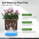 thumbnail image 5 of Macetas para Plantas de Interior de 4,25 Pulgadas, Maceta con Riego AutomáTico para Interiores, Macetas Violetas con DepóSito Visible, 2 Unidades, 5 of 8
